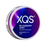XQS Blueberry mint