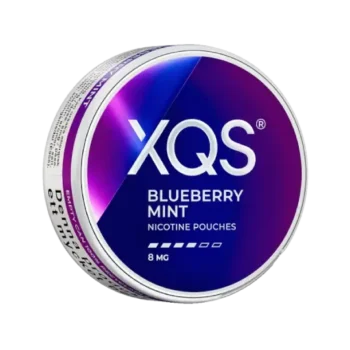 XQS Blueberry mint