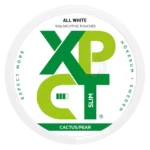 XPCT Mega Dosa Cactus & Pear