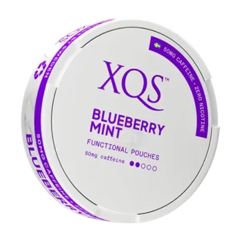 XQS Blueberry Mint koffeinpåsar 50mg