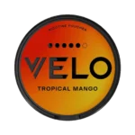 VELO Tropical Mango #5