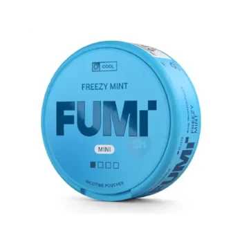 FUMi Freezy Mint Mini Regular #1