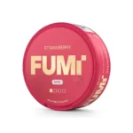 FUMi Strawberry Mini Regular #1