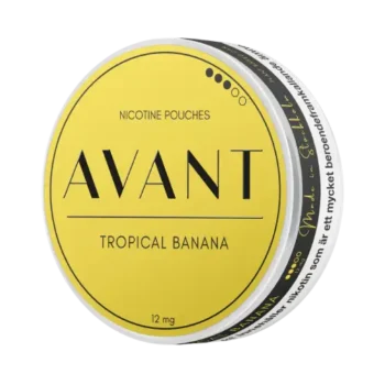 Avant Tropical Banana