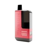 Panther Fusion 6K | Strawberry Watermelon Bubblegum 0mg