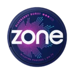 ZONE No73 Blueberry Burst 10mg